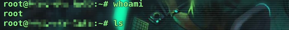 image-20250501165635780