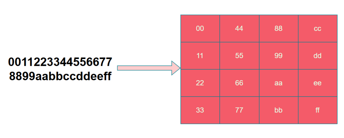 image-20251115082240455