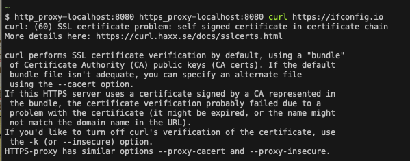 curl_https_error.png